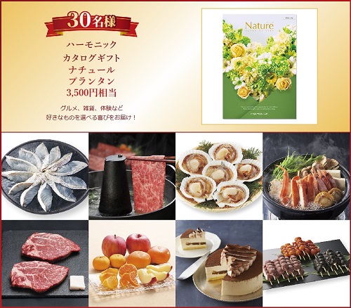 セントラル短資ＦＸ[ＦＸダイレクトプラス]