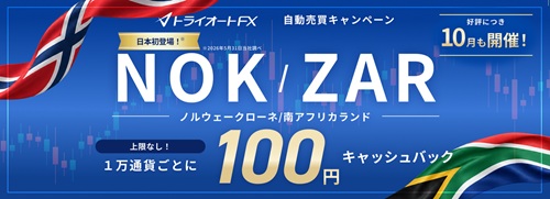 インヴァスト証券[トライオートFX]