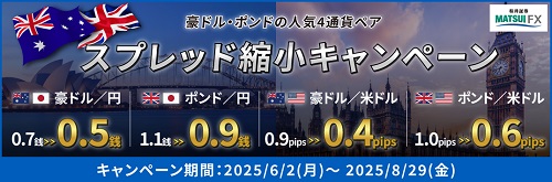 松井証券